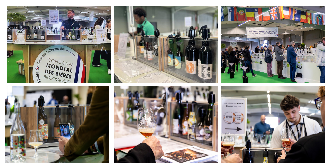 Galerie de 6 images 3